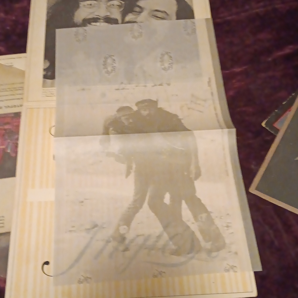 Cheech y Chong - Picture 3 of 5
